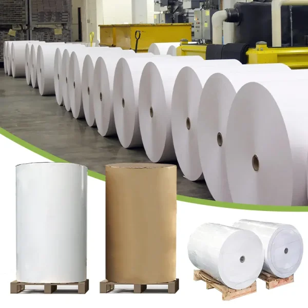 Thermal Paper Jumbo Roll Wholesale 405mm 640mm 880mm width till roll - Image 4