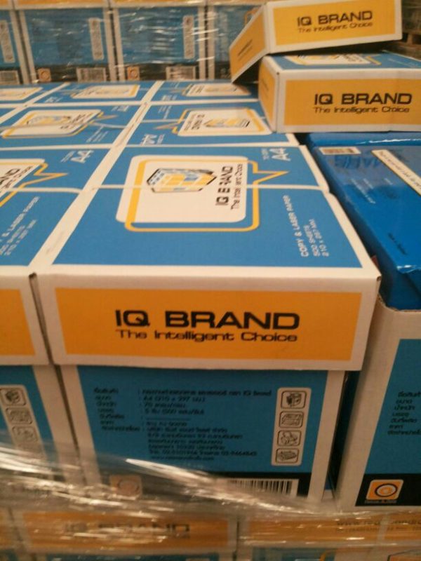 Buy IQ Brand A4 Copy Paper 80GSM